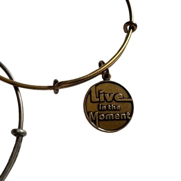 Alex & Ani Lot of 6 Bracelets - Picture 5 of 7